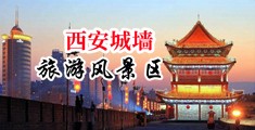 日本极品粉嫩小泬XXXXX中国陕西-西安城墙旅游风景区