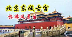 www.日逼动态啊嗯啊嗯啊中国北京-东城古宫旅游风景区